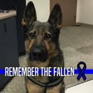 Meet your Posher, Rosemary